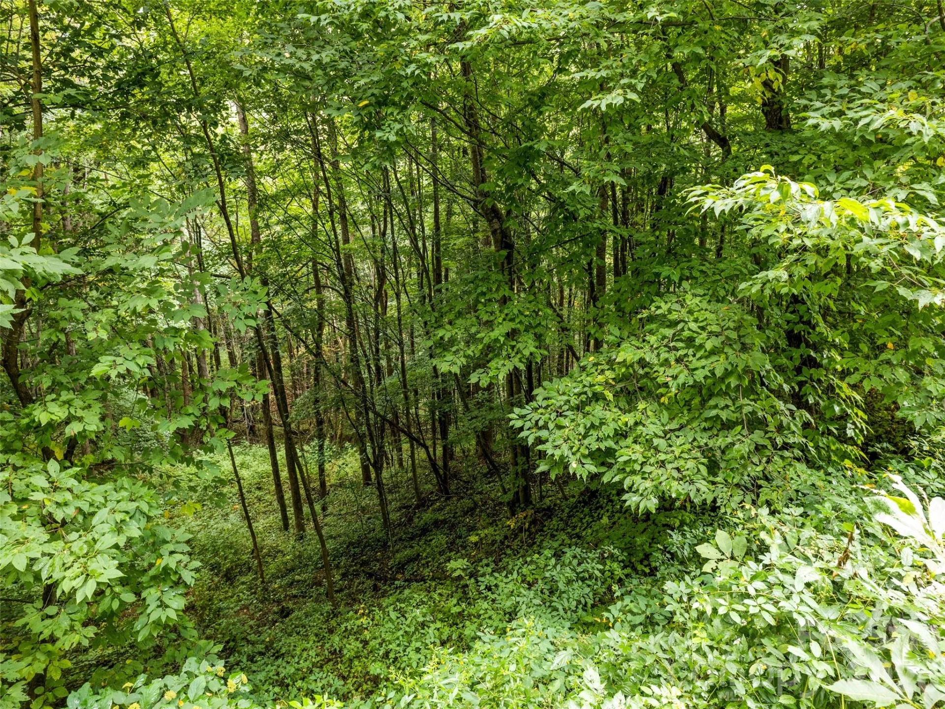 Lot 12 Bow N Arrow Cove - Photo 9