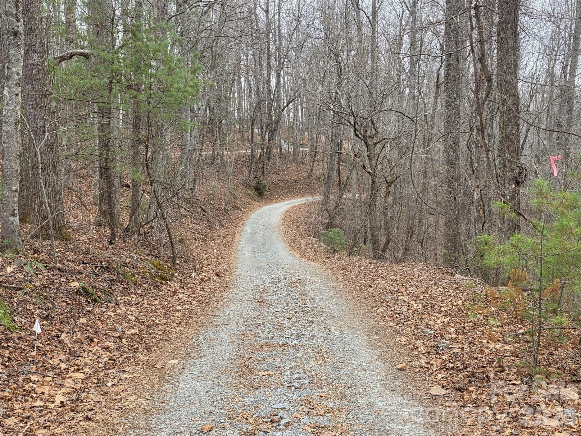 00 Hickory Wood Trail #20,21 - Photo 2