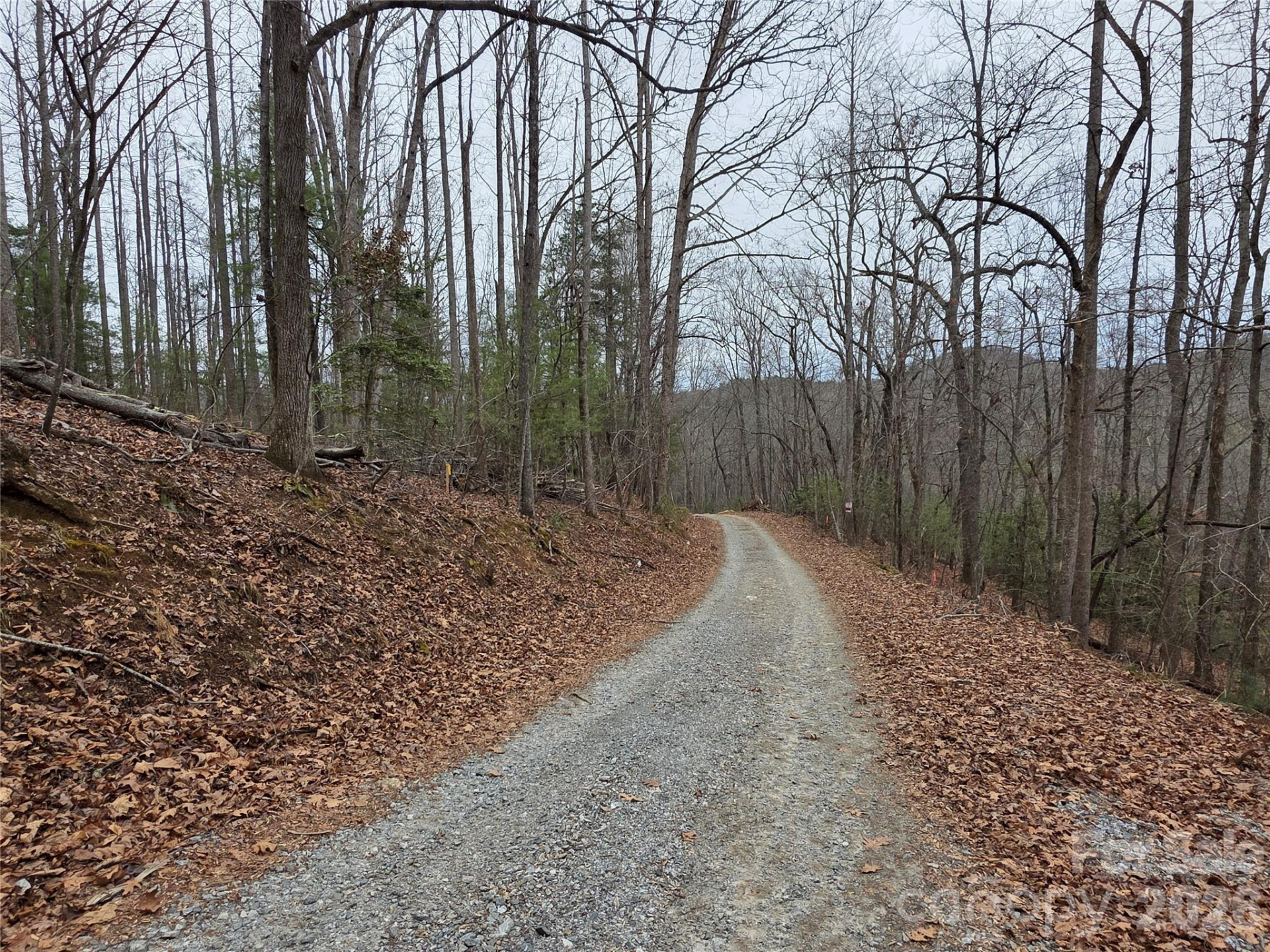 00 Hickory Wood Trail #20,21 - Photo 3