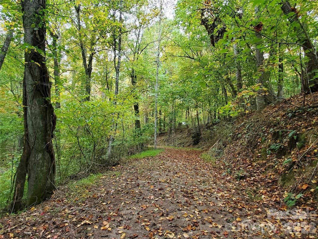 00 Hickory Wood Trail #20,21 - Photo 16