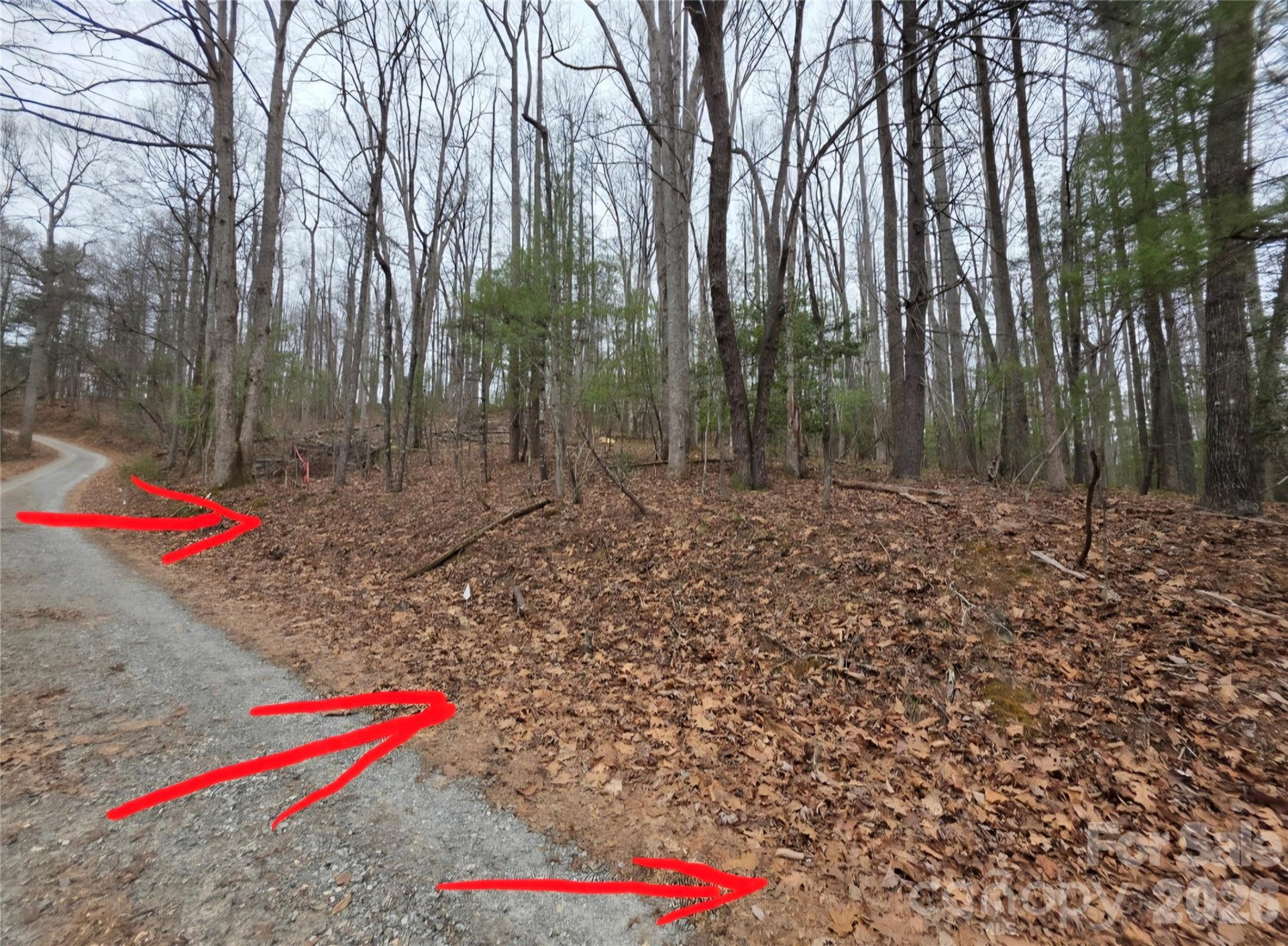 00 Hickory Wood Trail #20,21 - Photo 5