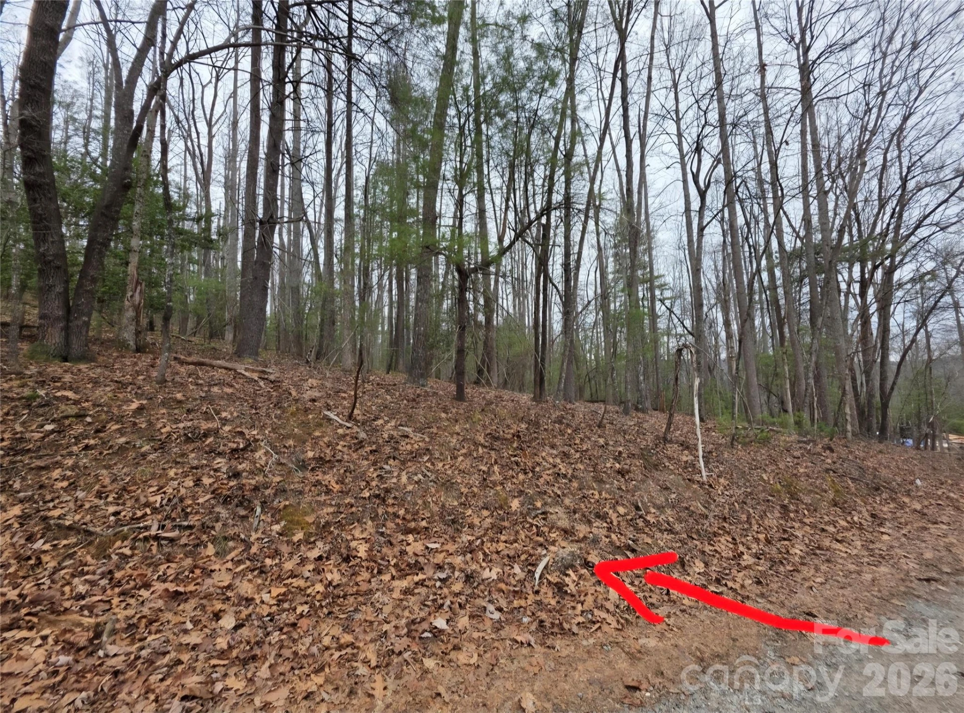 00 Hickory Wood Trail #20,21 - Photo 8