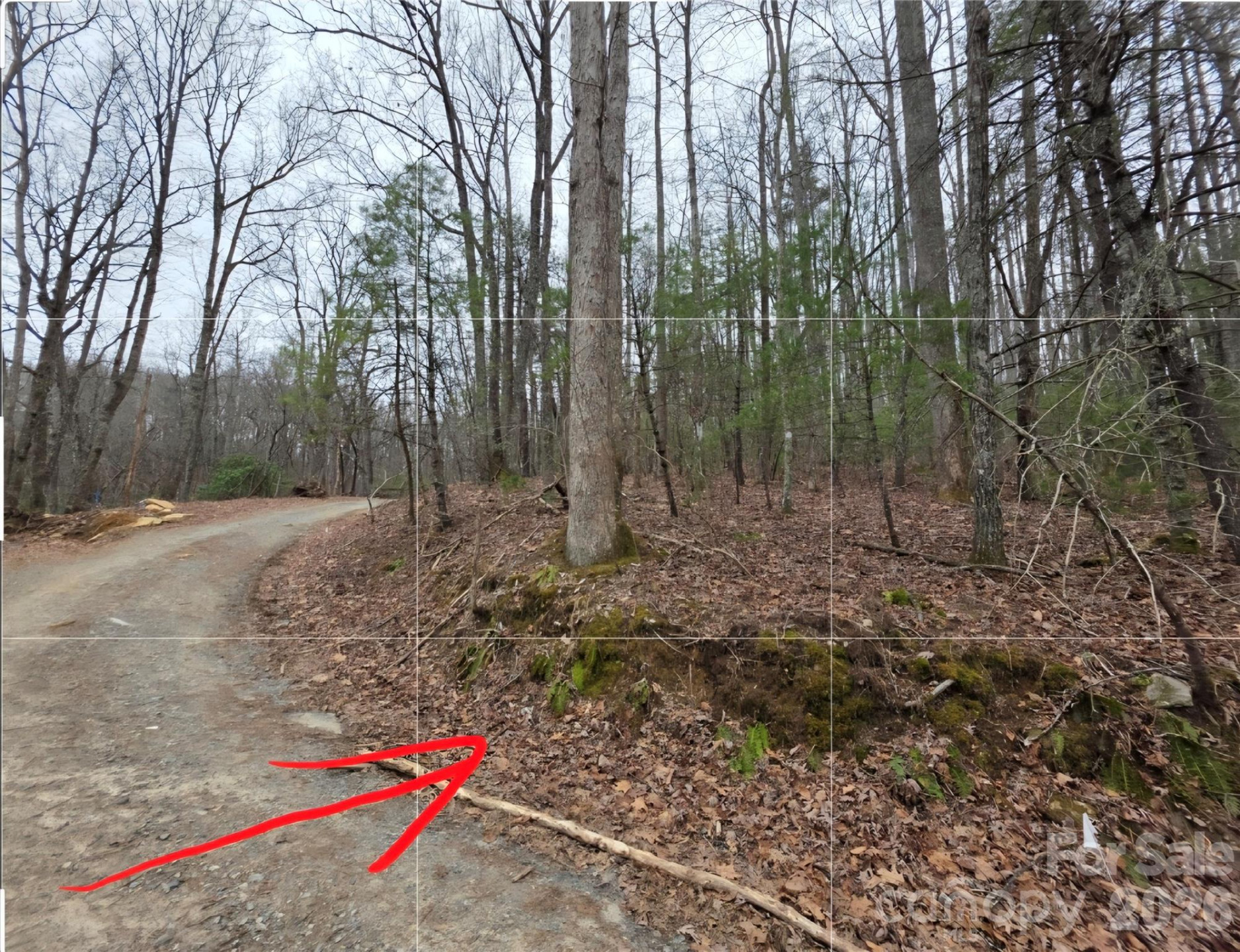 00 Hickory Wood Trail #20,21 - Photo 9