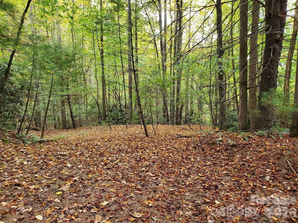 00 Hickory Wood Trail #20,21 - Photo 11