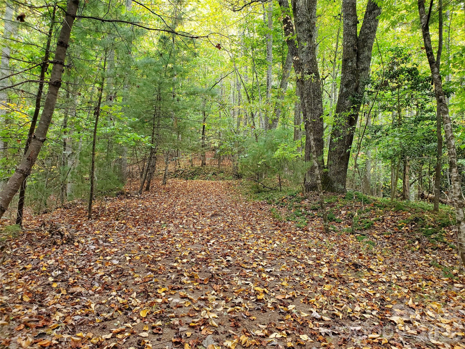 00 Hickory Wood Trail #20,21 - Photo 12