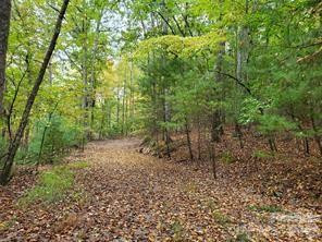 00 Hickory Wood Trail #20,21 - Photo 13
