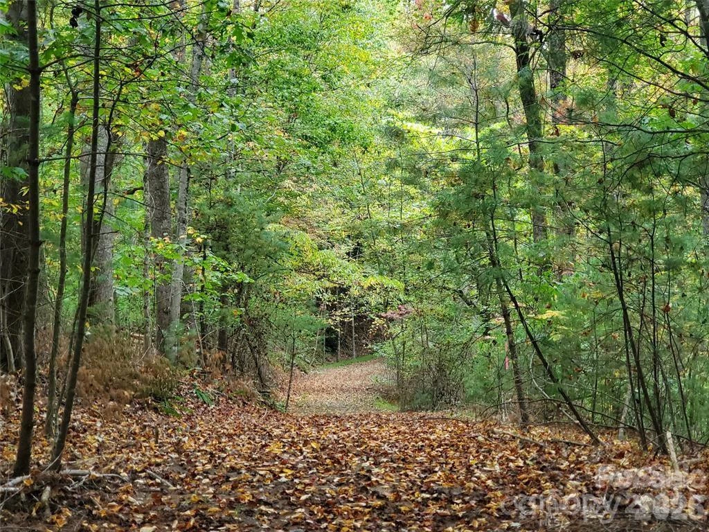 00 Hickory Wood Trail #20,21 - Photo 14