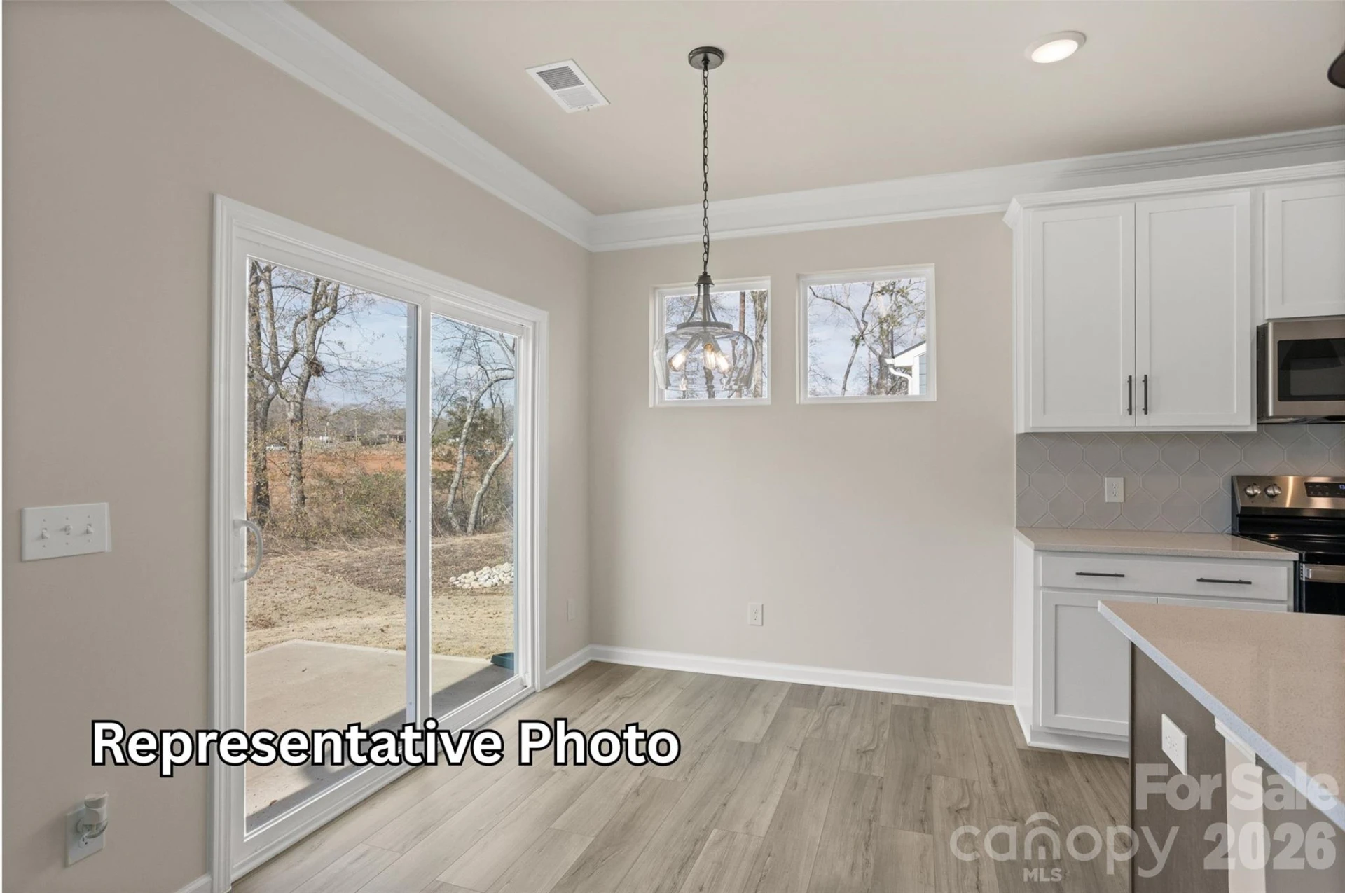 15216 First Broad Drive - Photo 5