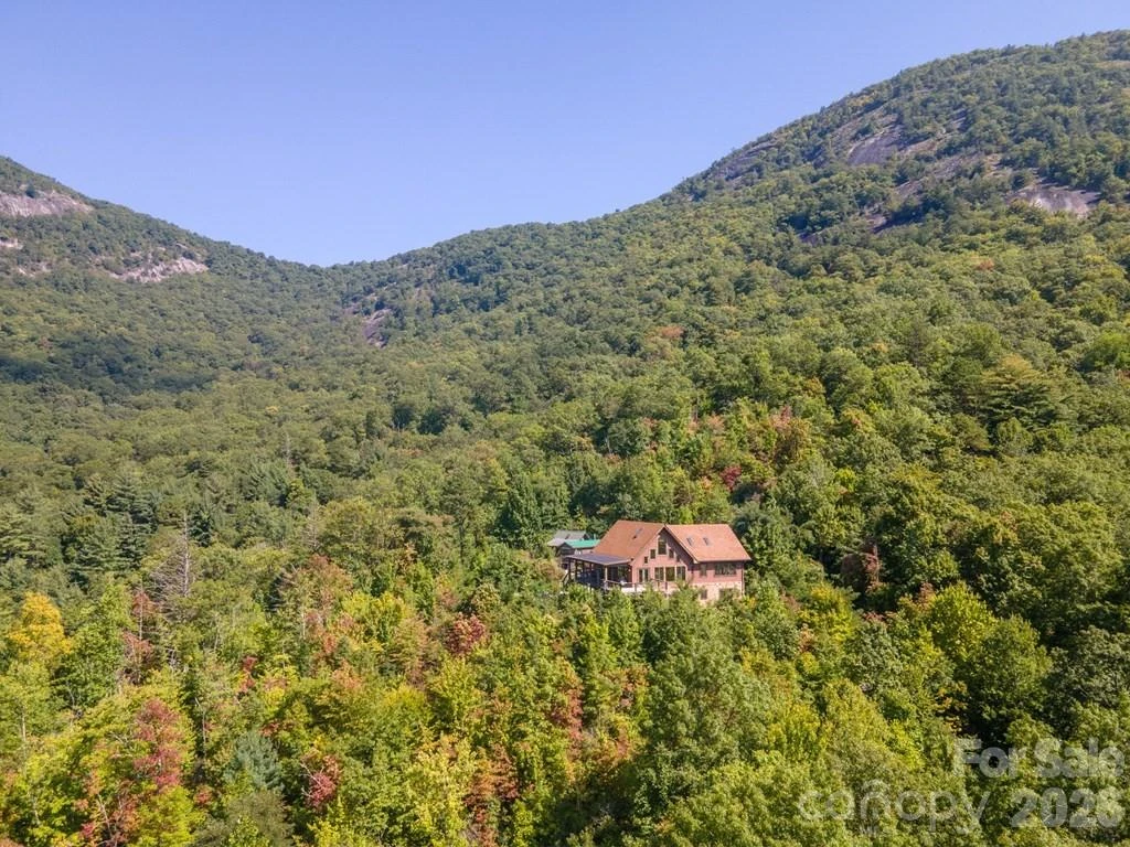 37 Jones Knob Road - Photo 5