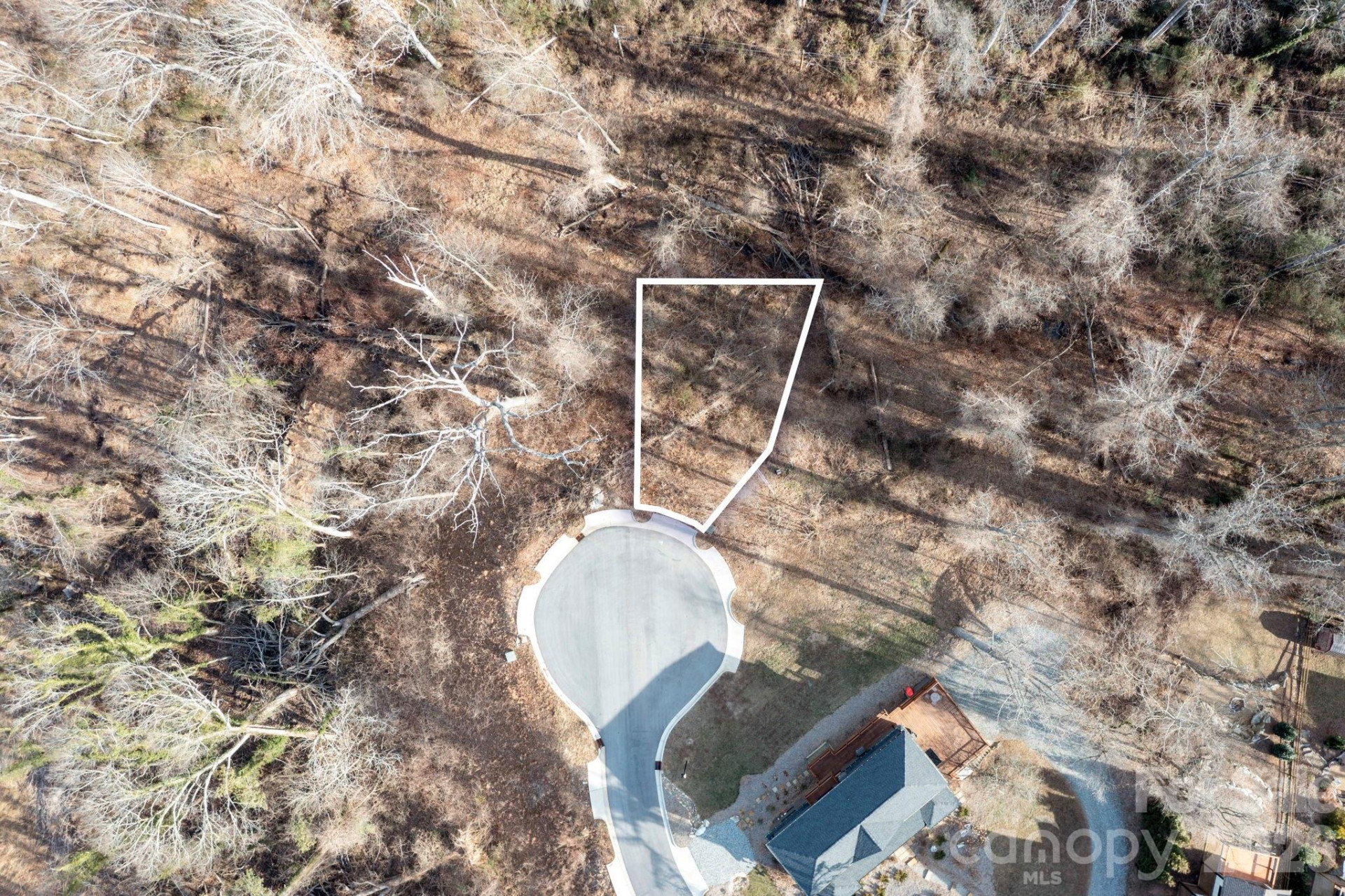 131 Beautyberry Drive #6 - Photo 3