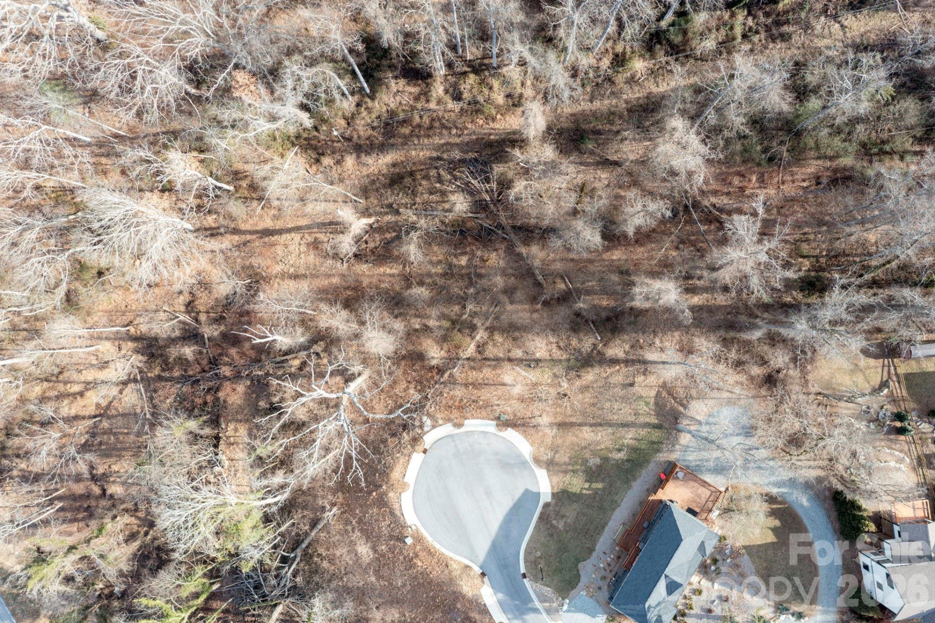 131 Beautyberry Drive #6 - Photo 5