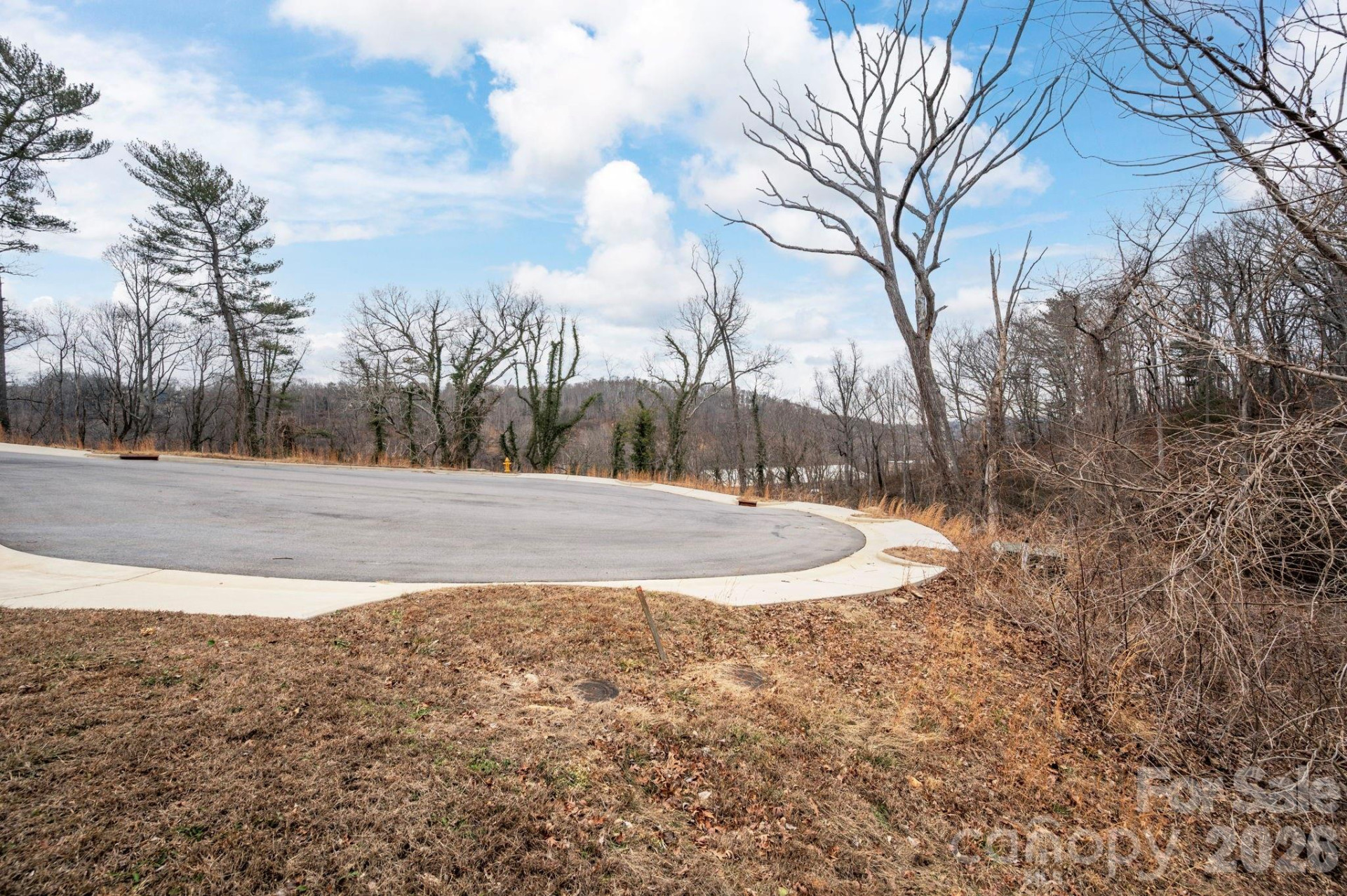 131 Beautyberry Drive #6 - Photo 6