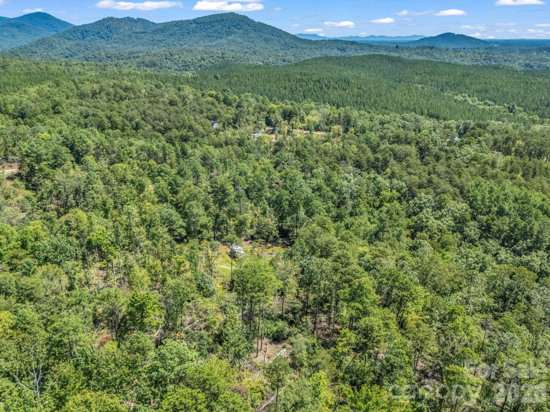 231 Wandering Bear Way - Photo 11