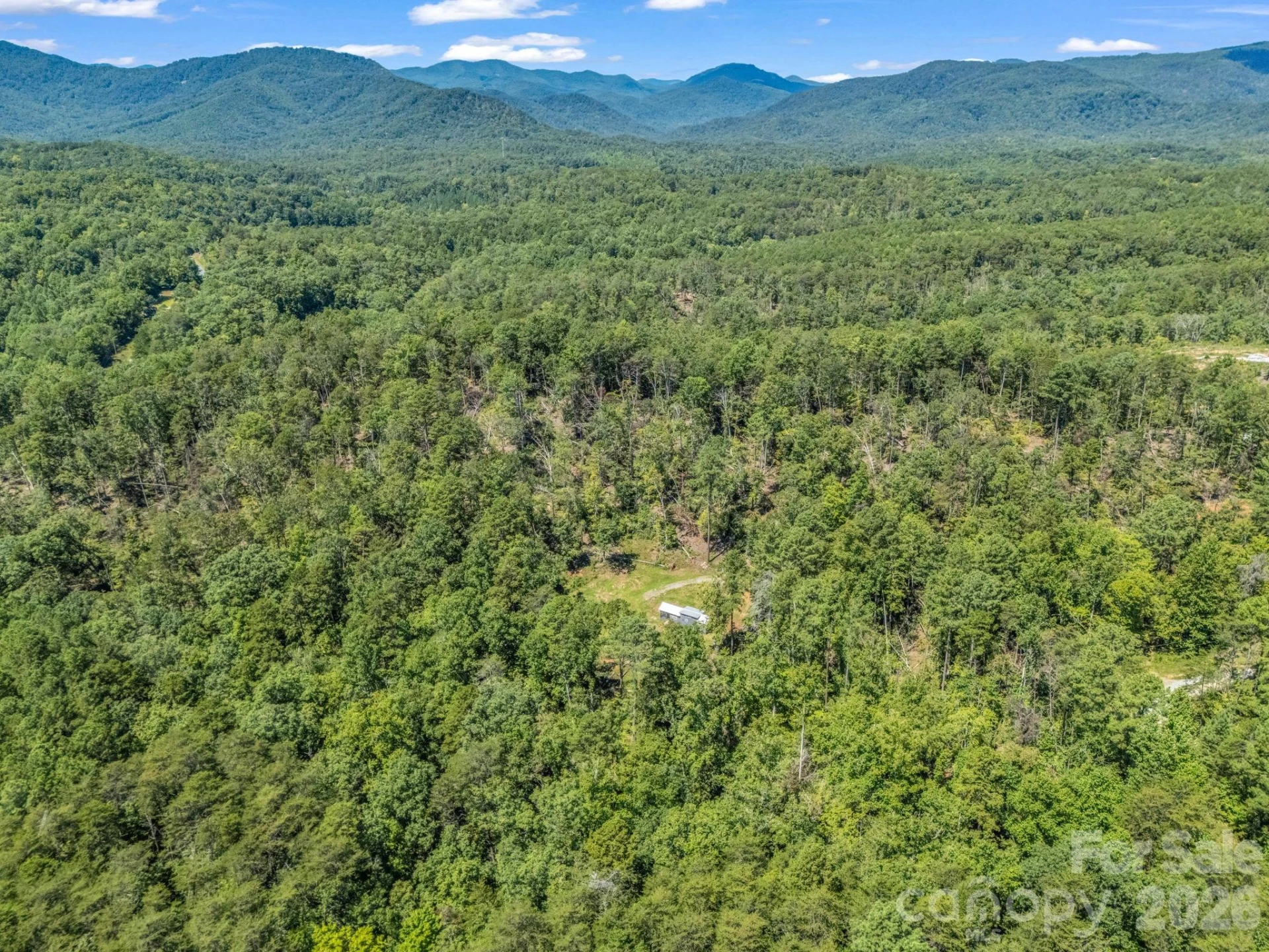 231 Wandering Bear Way - Photo 14