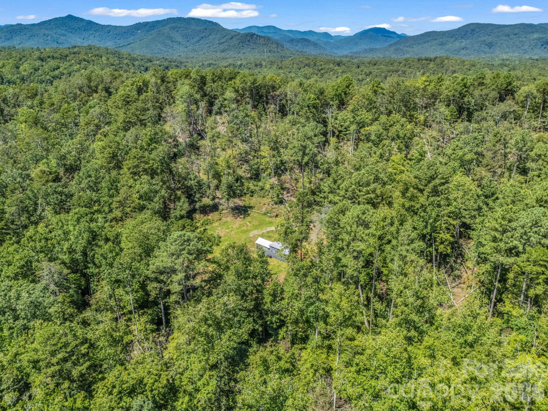 231 Wandering Bear Way - Photo 15