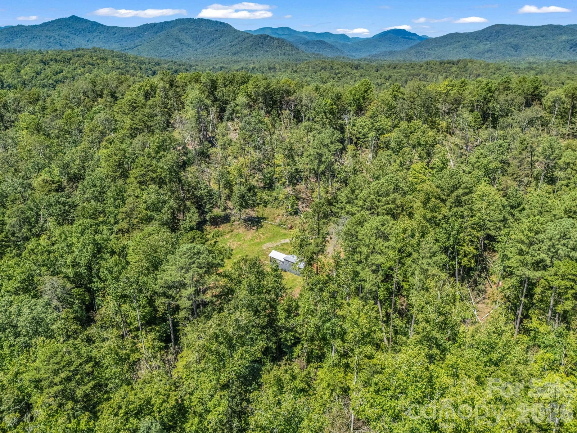 231 Wandering Bear Way - Photo 15