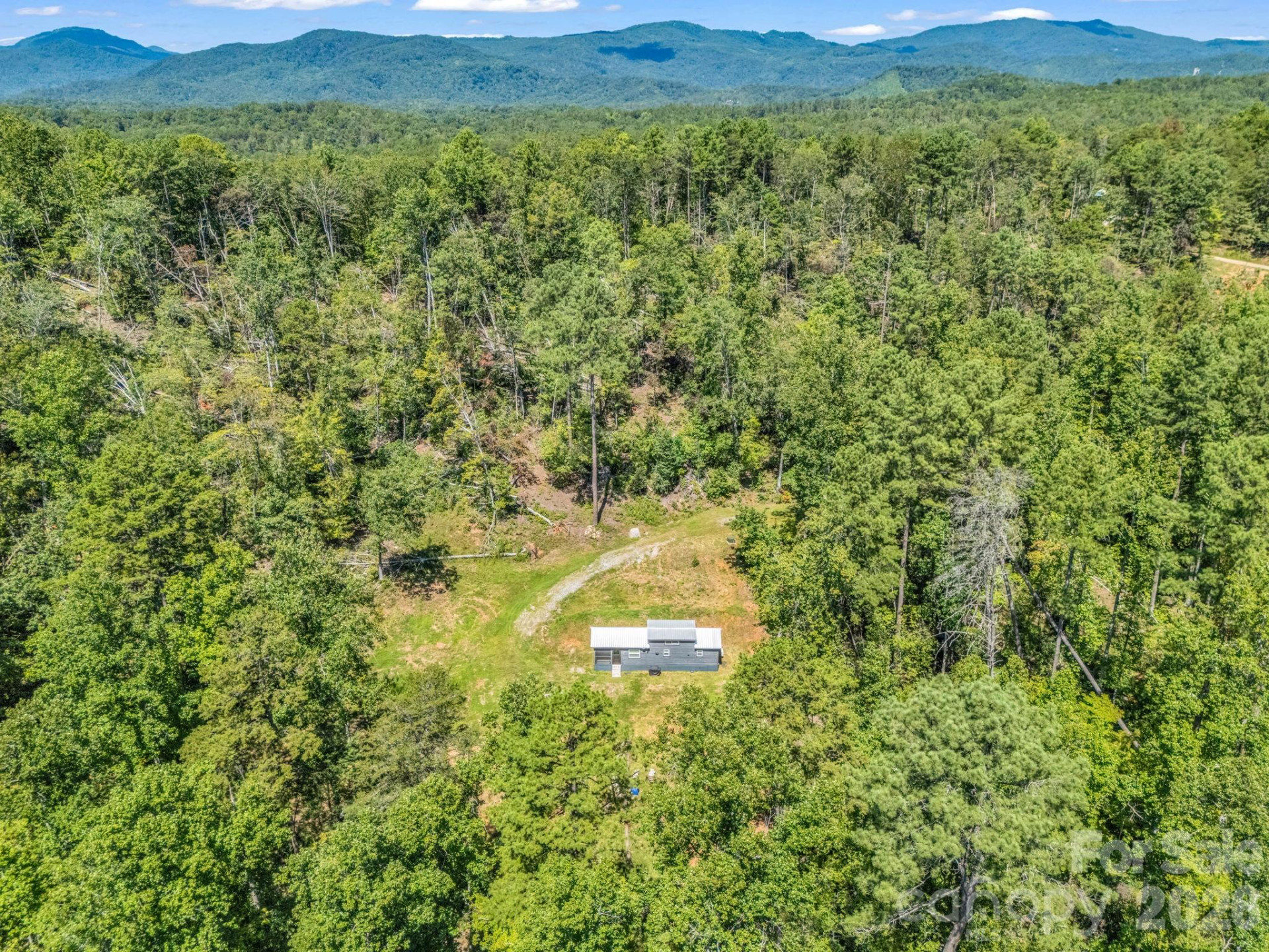 231 Wandering Bear Way - Photo 16