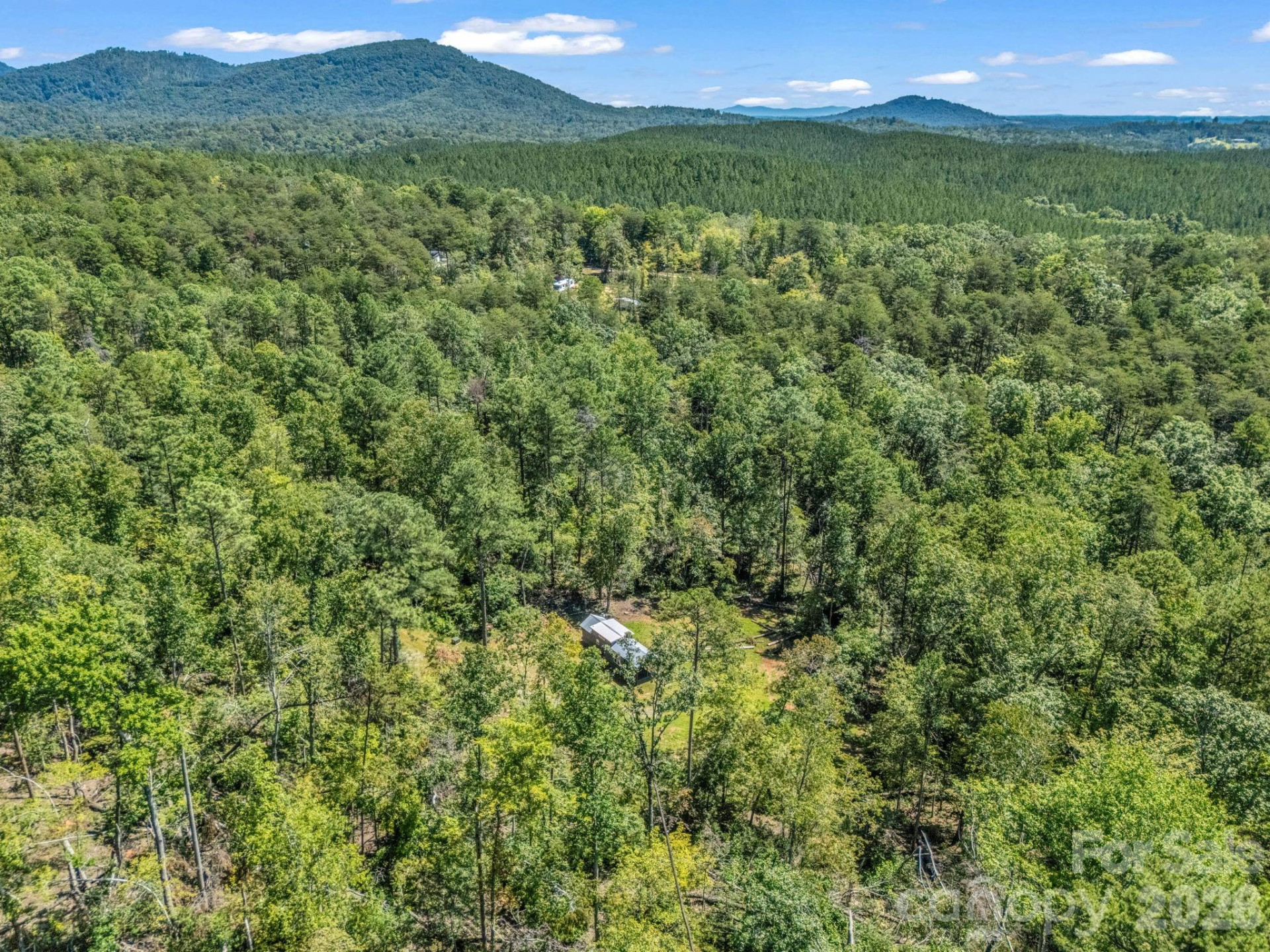 231 Wandering Bear Way - Photo 18