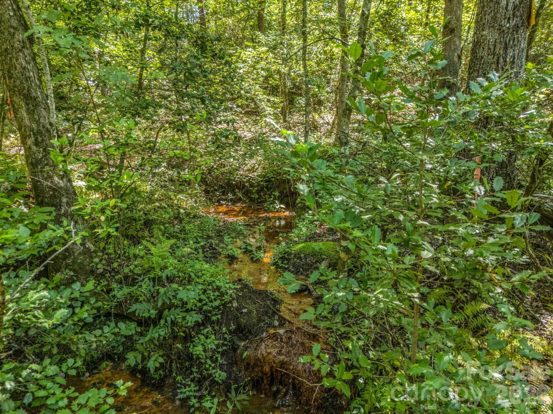 231 Wandering Bear Way - Photo 23