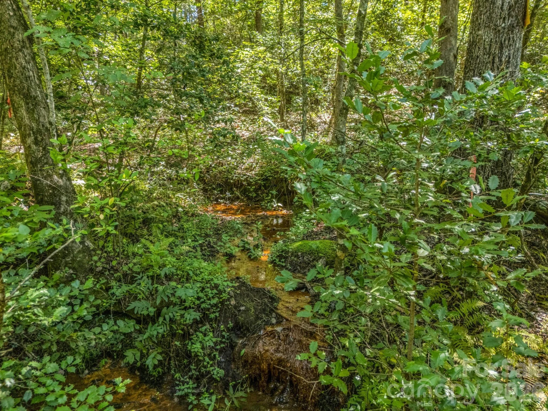 231 Wandering Bear Way - Photo 23