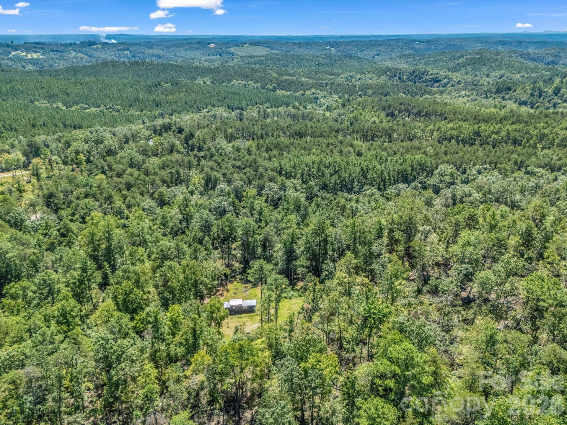 231 Wandering Bear Way - Photo 9