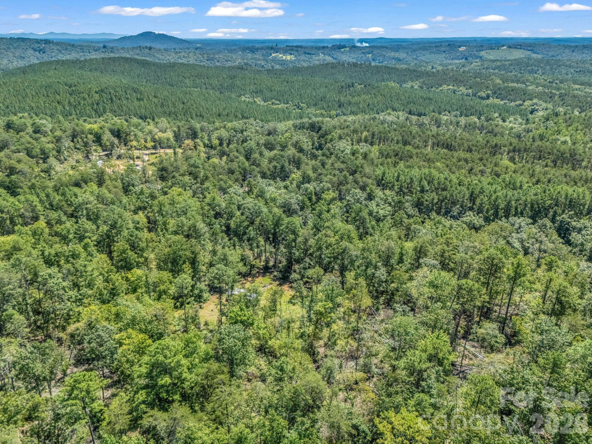 231 Wandering Bear Way - Photo 10