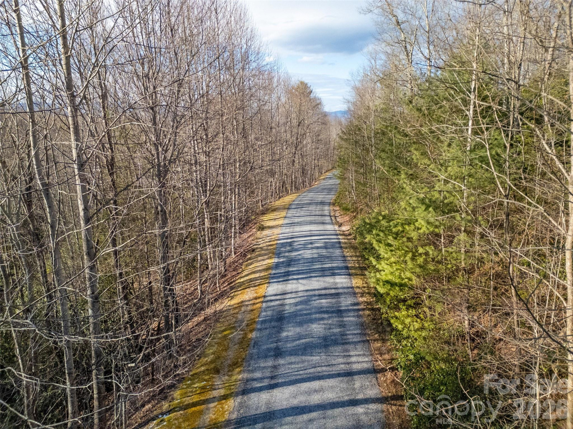 LT 617A Lost Mine Trail - Photo 5