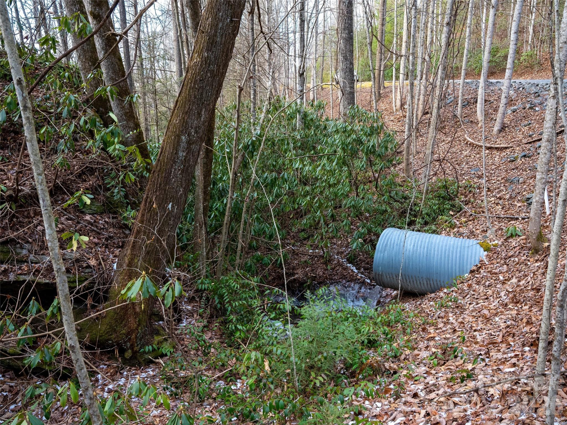 LT 617A Lost Mine Trail - Photo 6