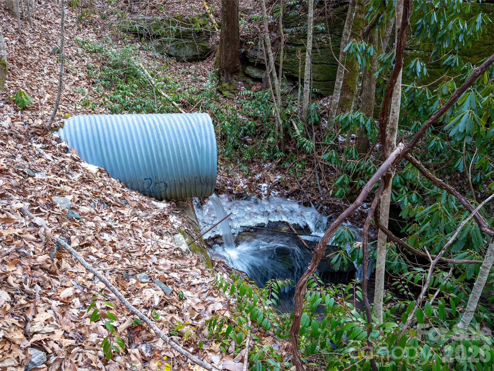 LT 617A Lost Mine Trail - Photo 7