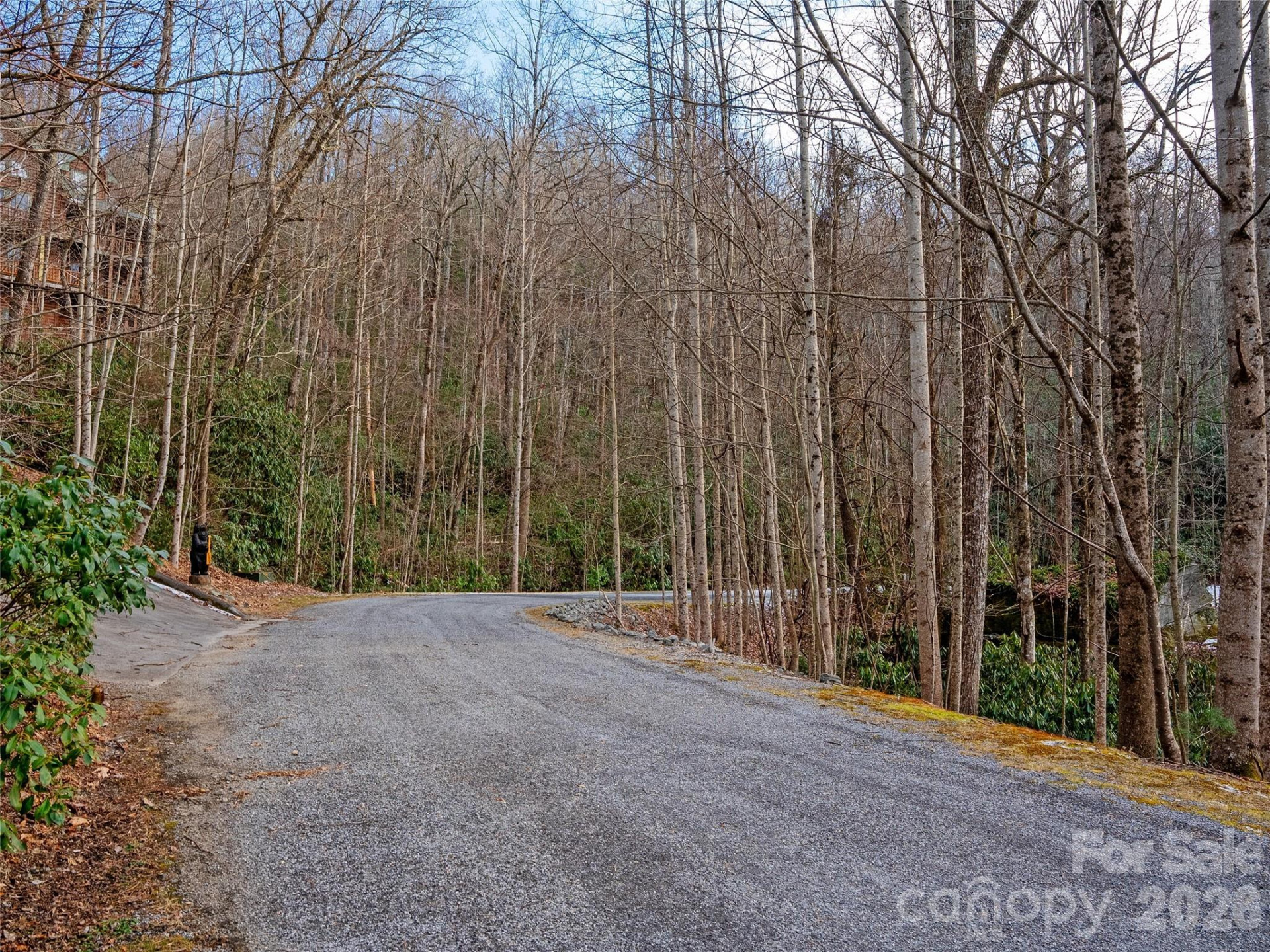 LT 617A Lost Mine Trail - Photo 8