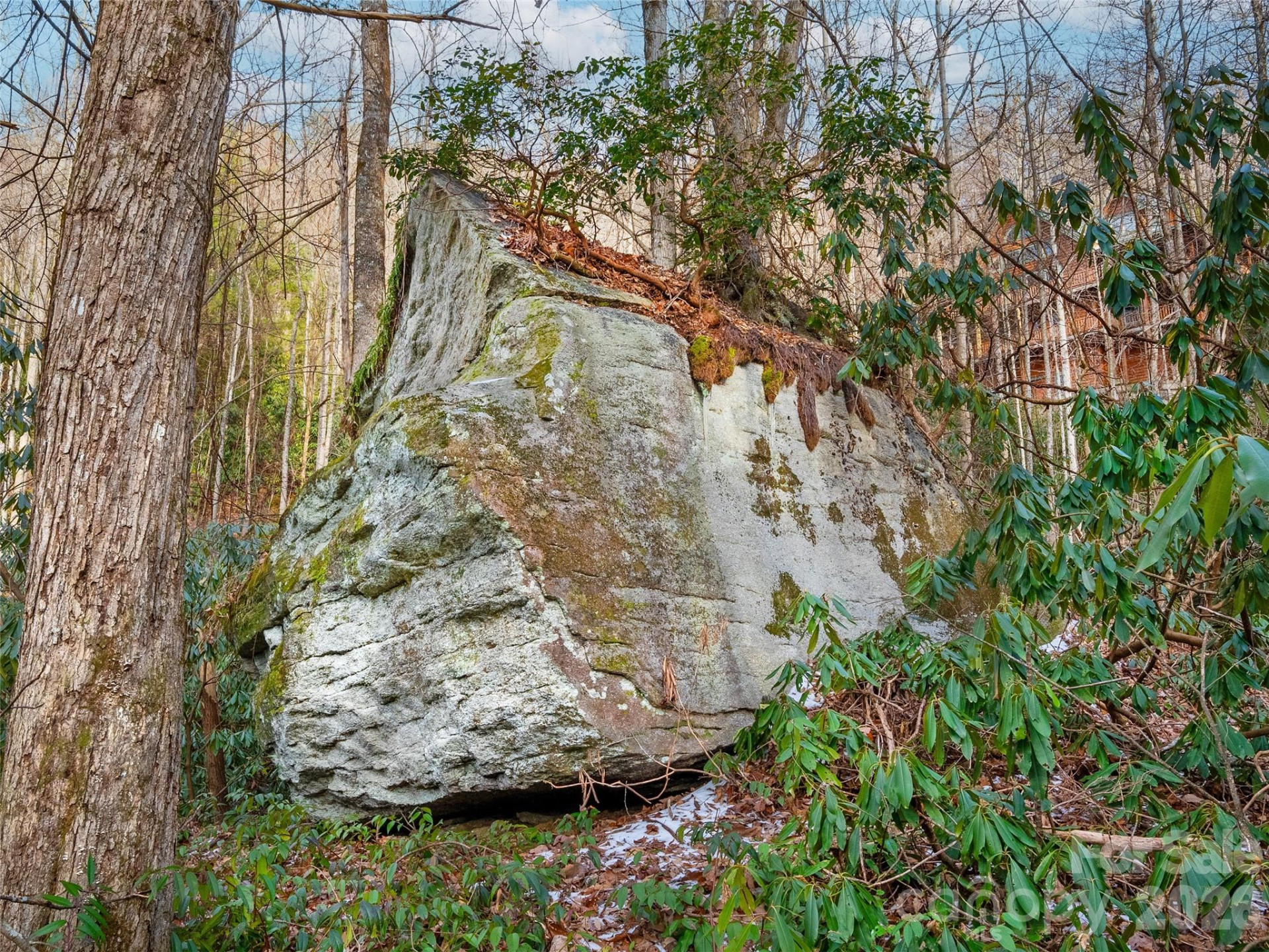 LT 617A Lost Mine Trail - Photo 9