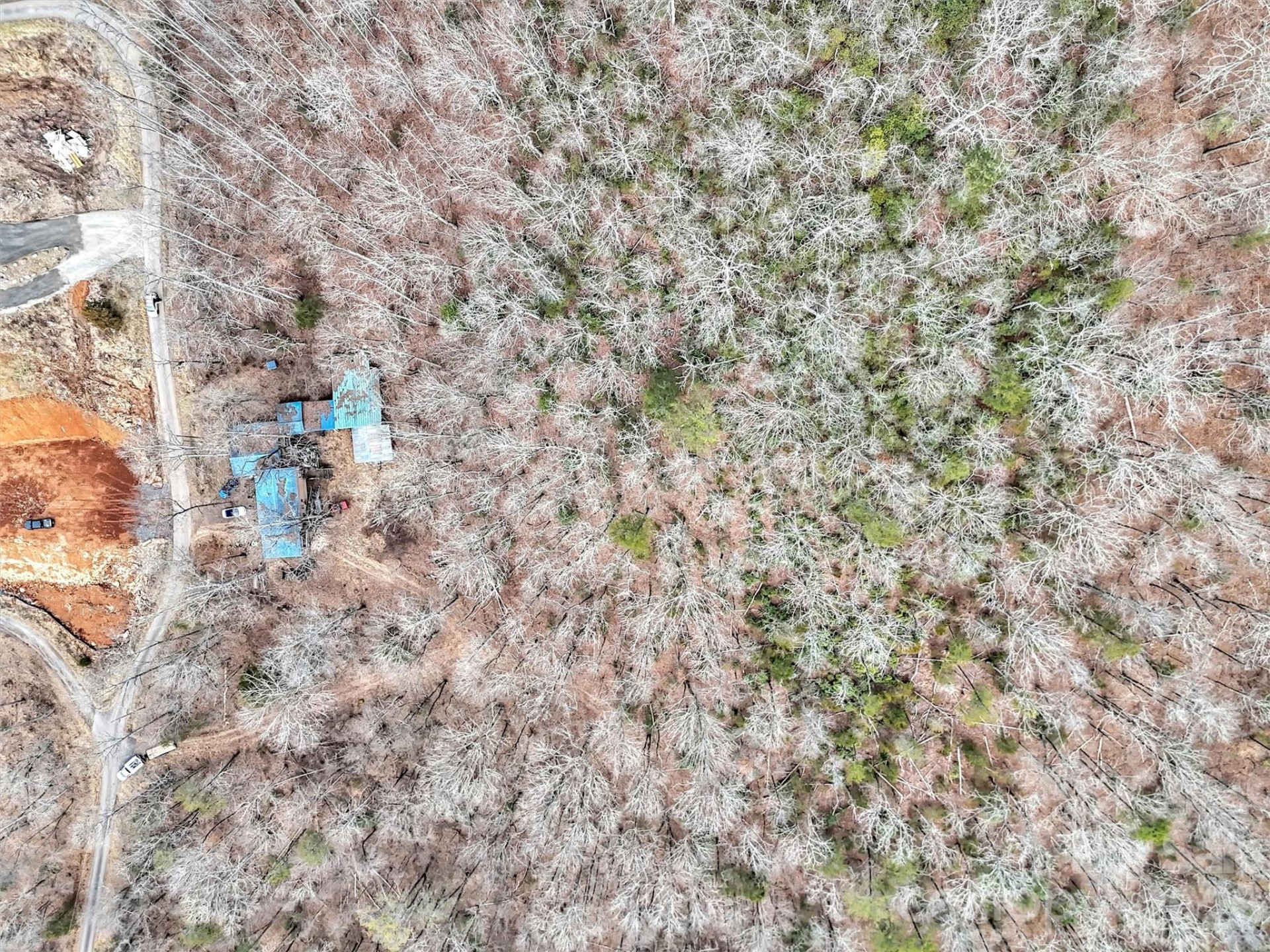 TBD Black Mountain Road #Lot 12 - Photo 10