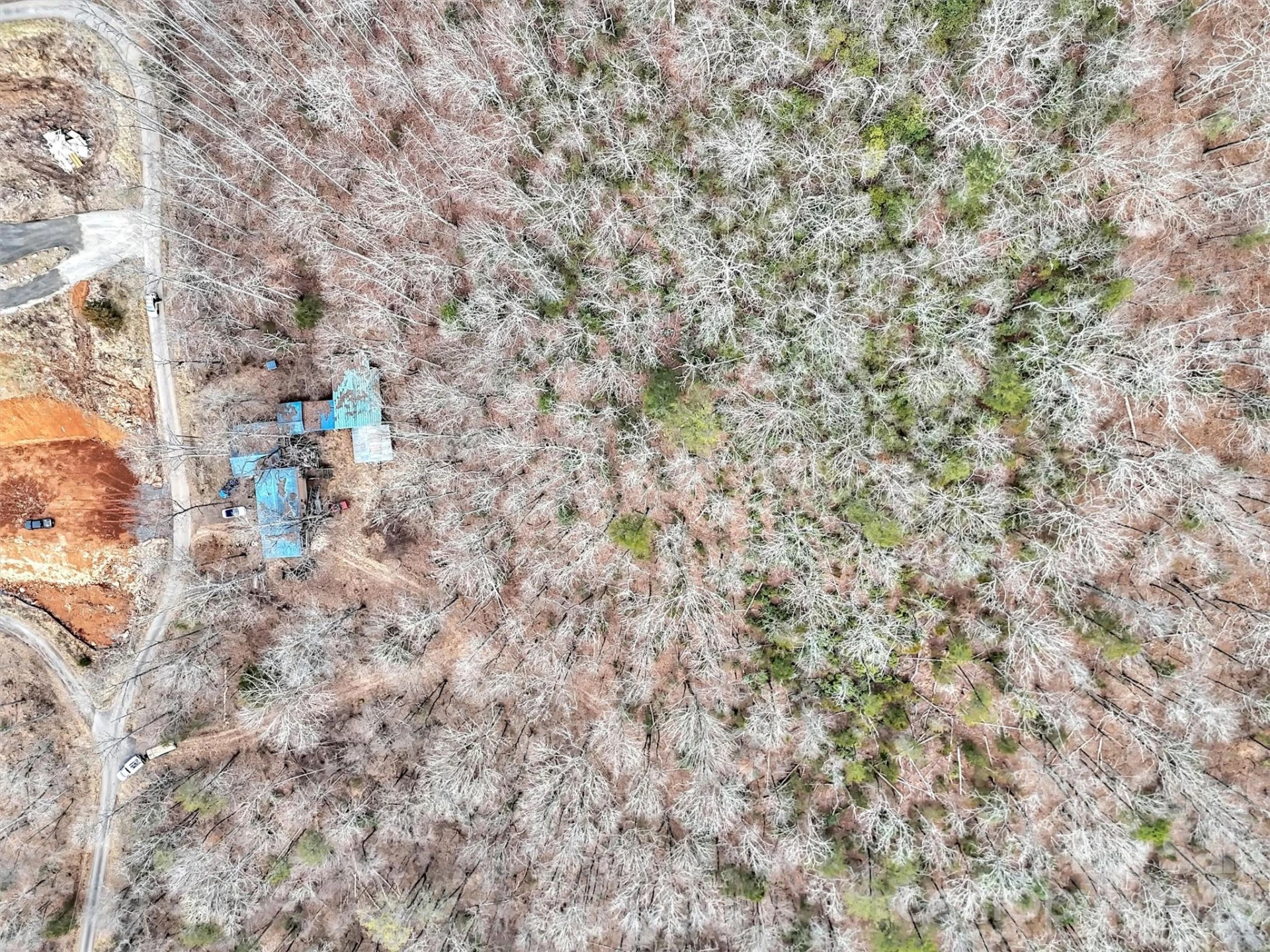 TBD Black Mountain Road #Lot 12 - Photo 10