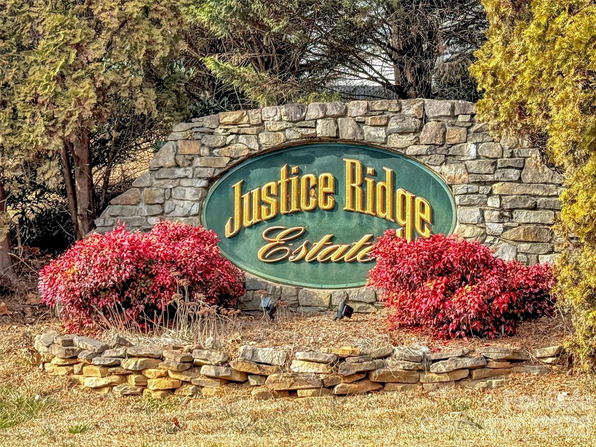 303 Forest Place #13 - Photo 3