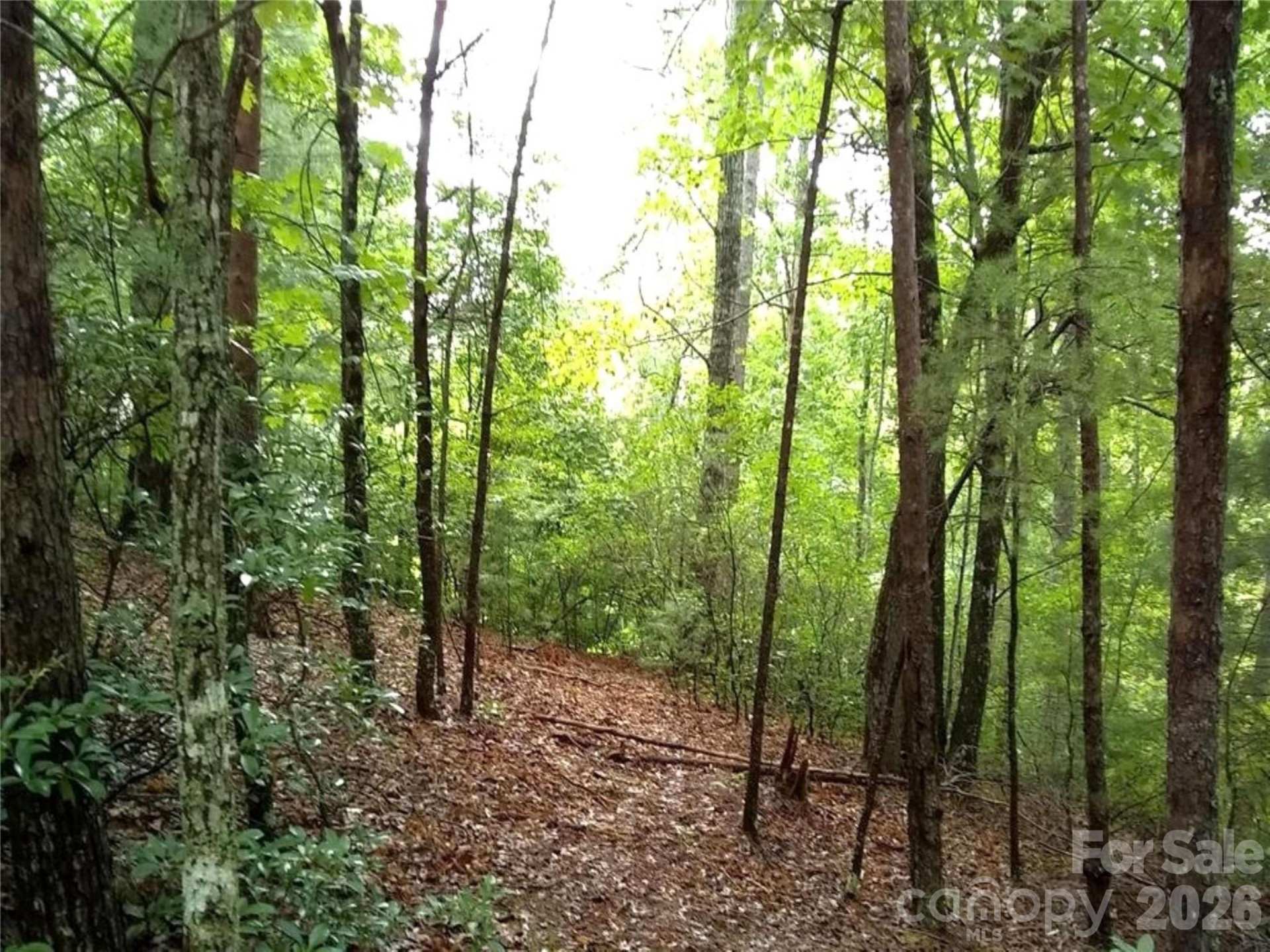 0 Hilltop None #41 - Photo 2