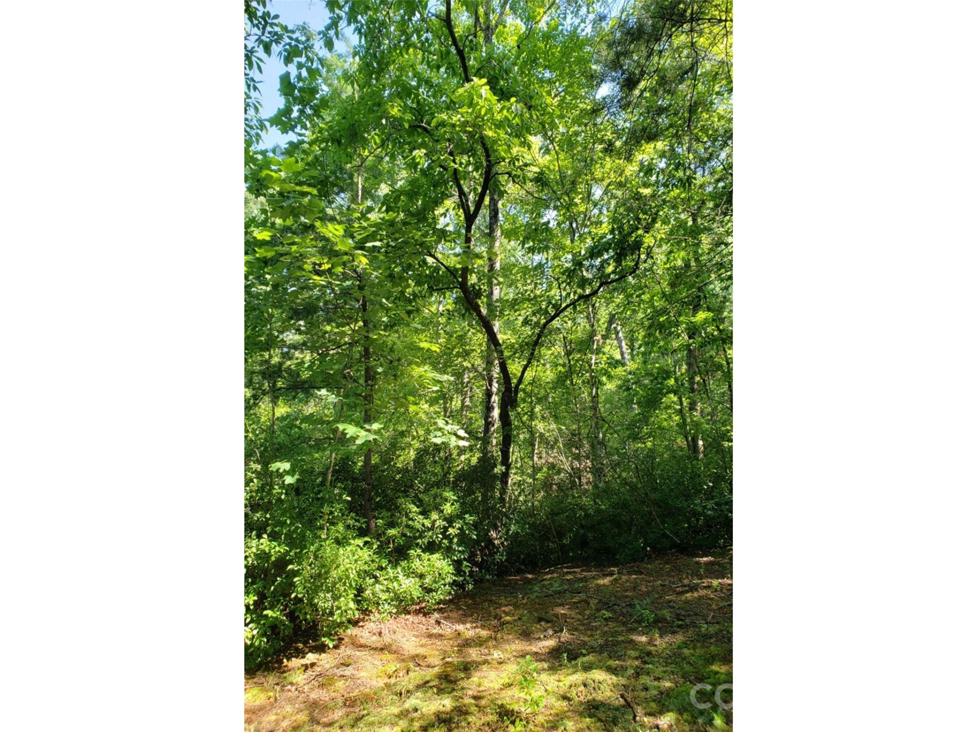 0 Hilltop None #41 - Photo 15