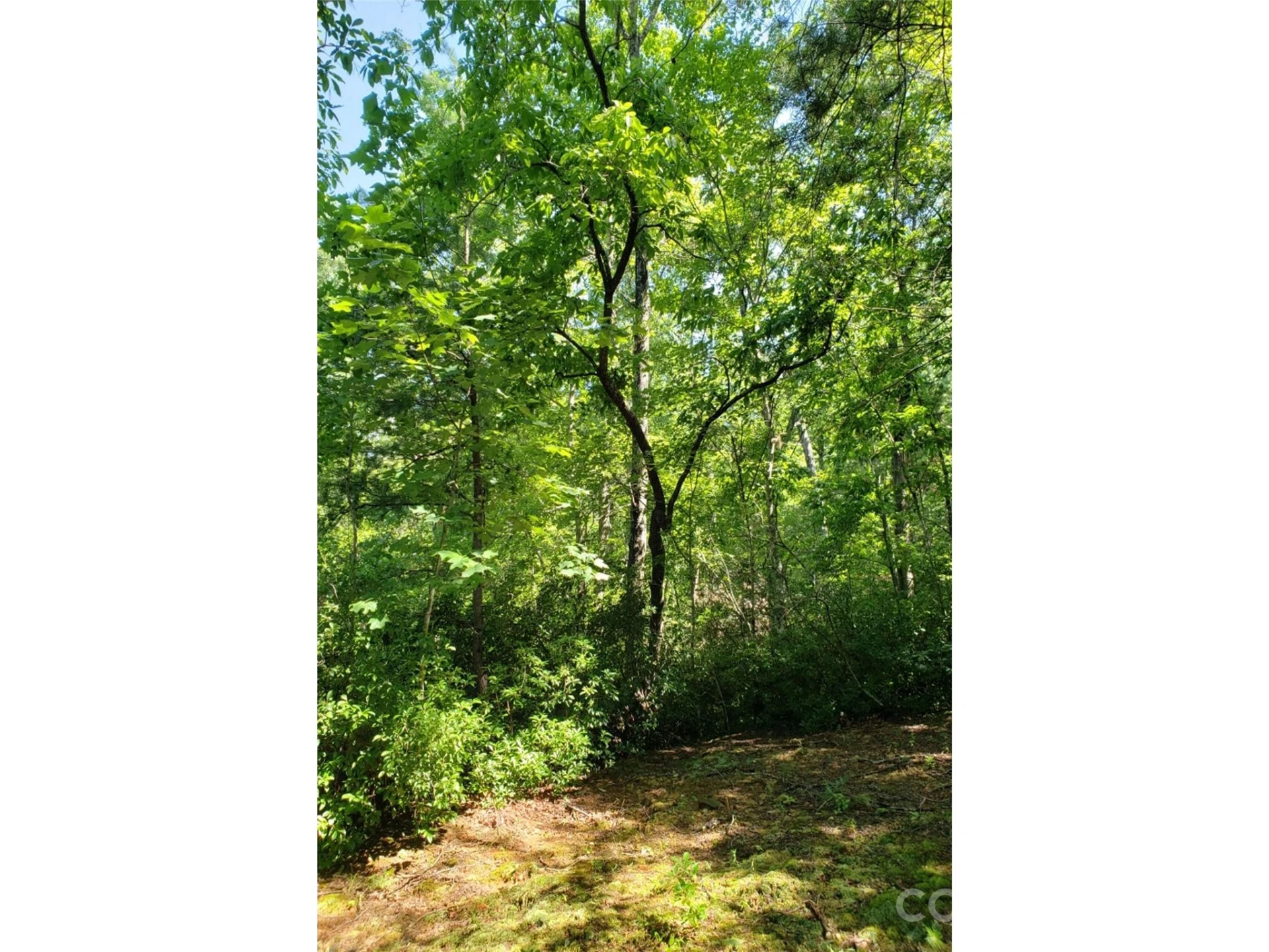 0 Hilltop None #41 - Photo 15
