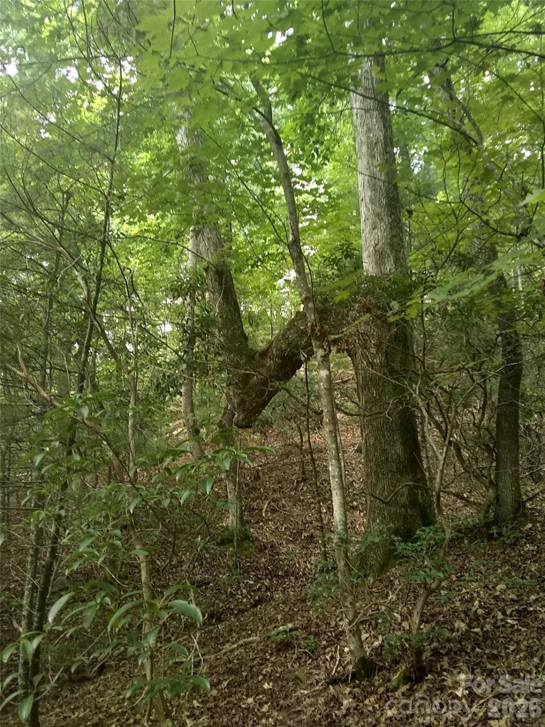 0 Hilltop None #41 - Photo 4