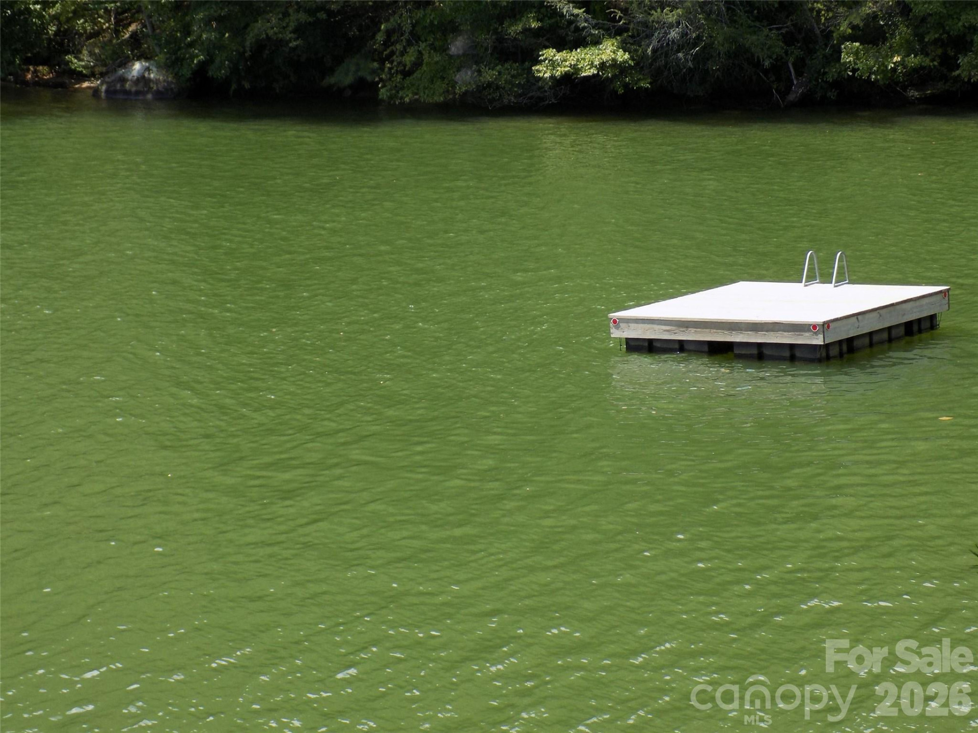 0 Hilltop None #41 - Photo 7