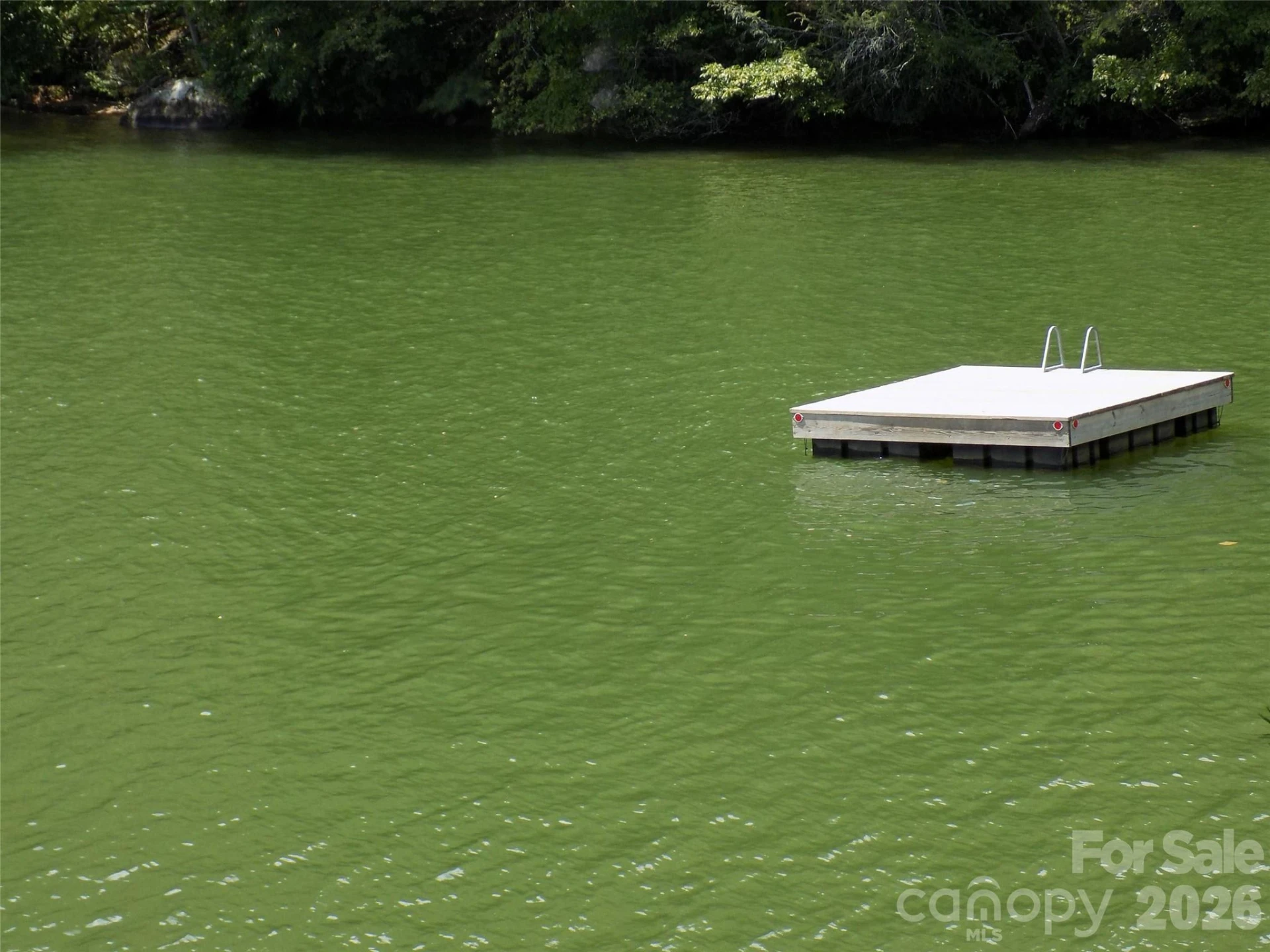0 Hilltop None #41 - Photo 7