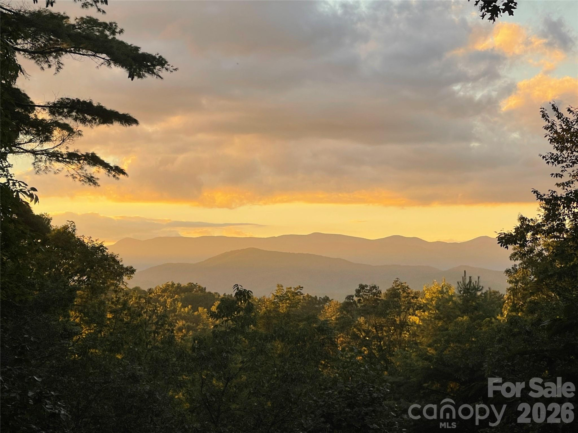 219 Kentwood Lane - Photo 4