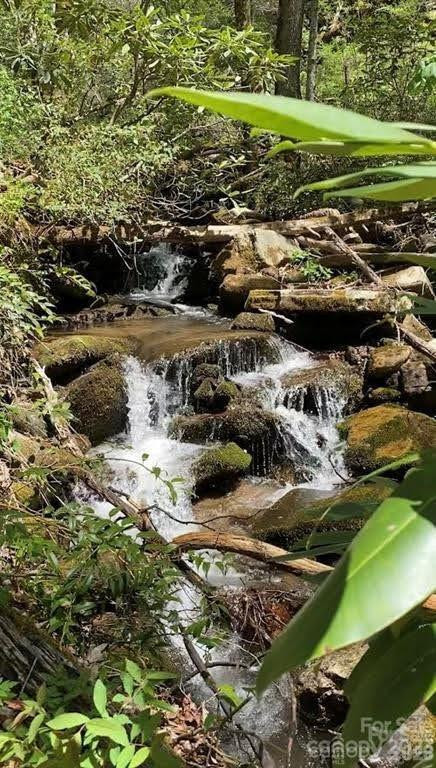 99999 Fairview Forest Drive - Photo 7