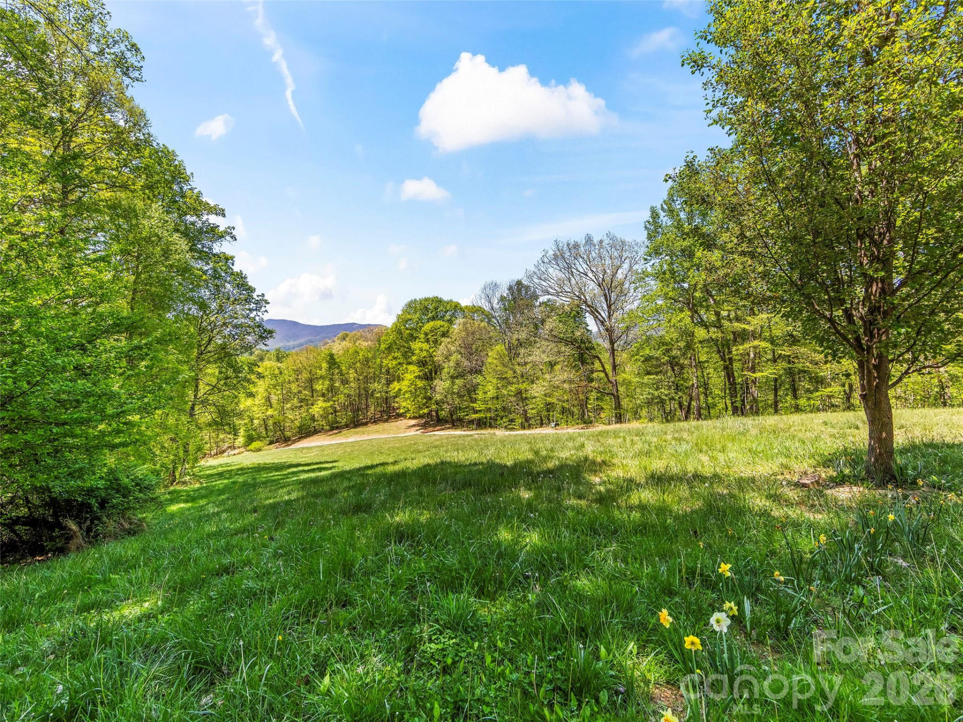 110 Mailon King Road - Photo 36