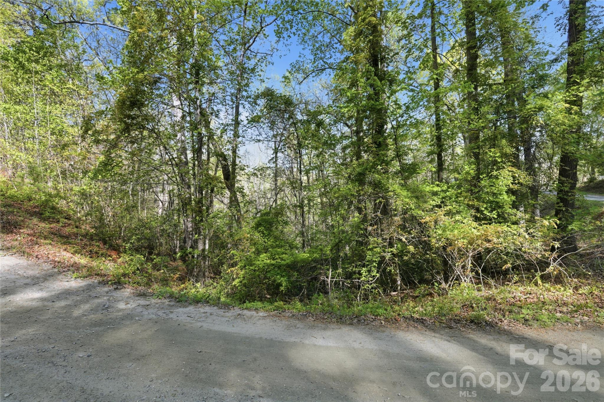 0 Wolf Trail #030 - Photo 5