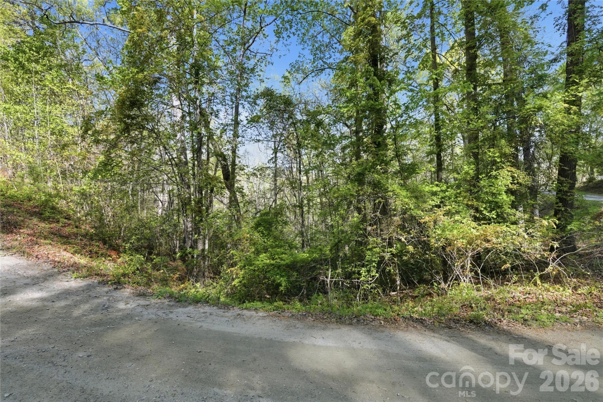 0 Wolf Trail #030 - Photo 5