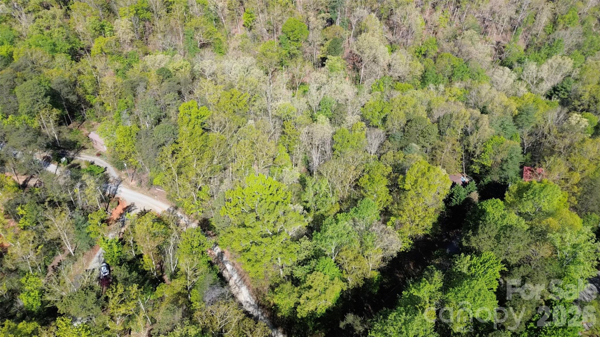 0 Wolf Trail #030 - Photo 6