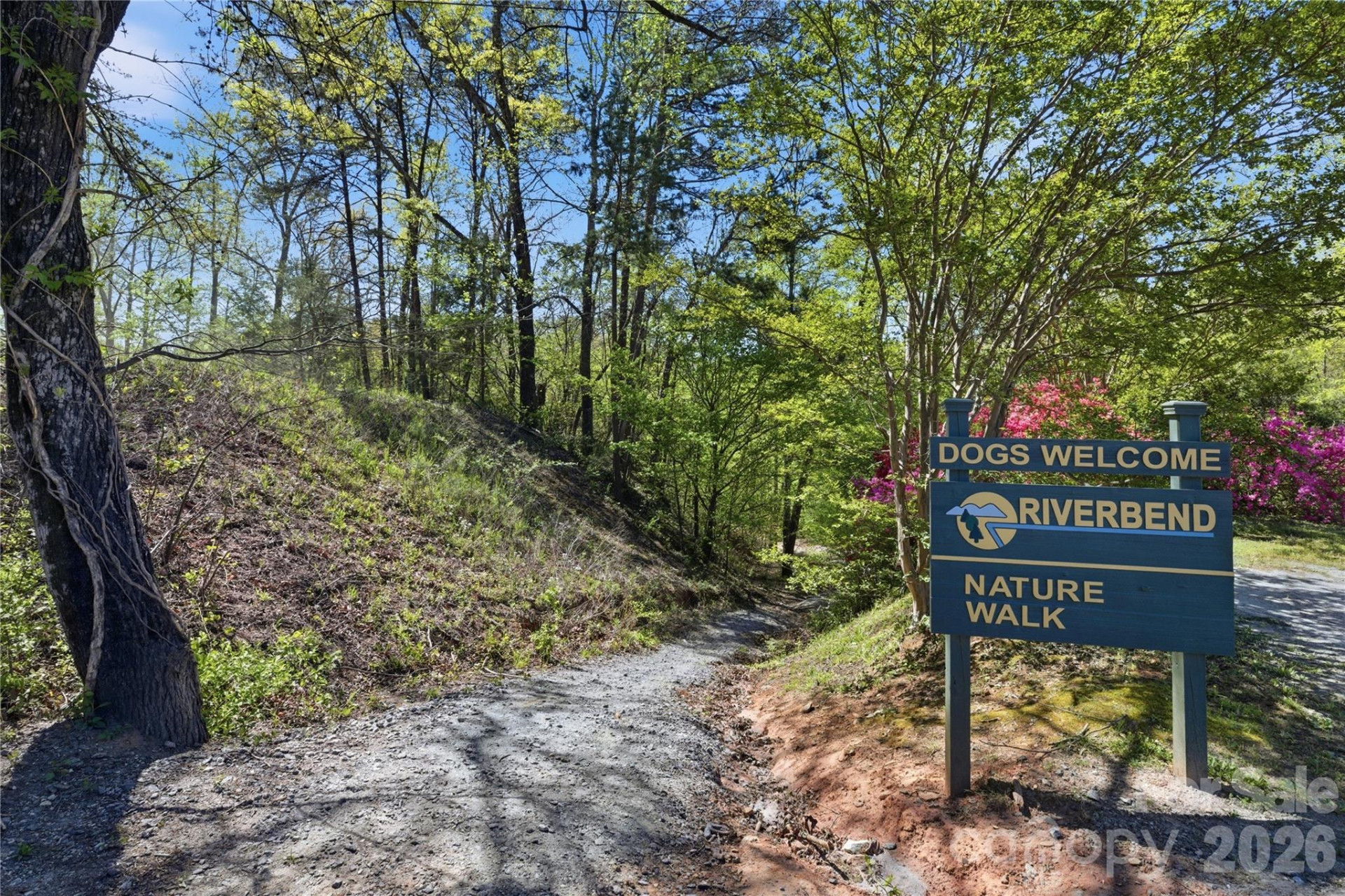 0 Wolf Trail #030 - Photo 9