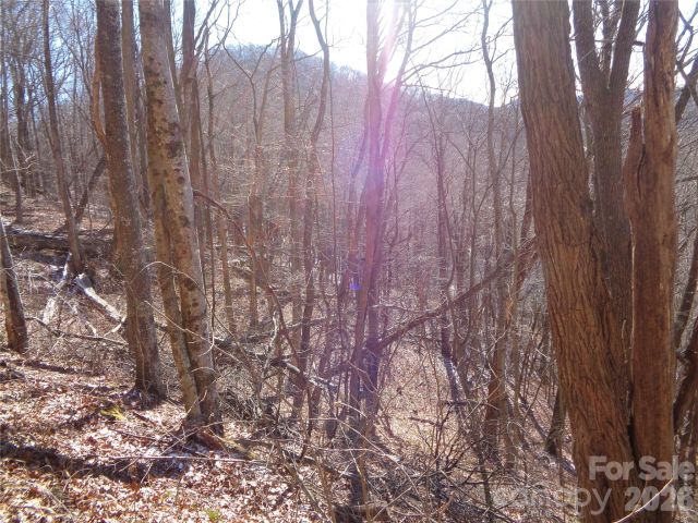 00 Listening Cove, Clyde, NC, 28721