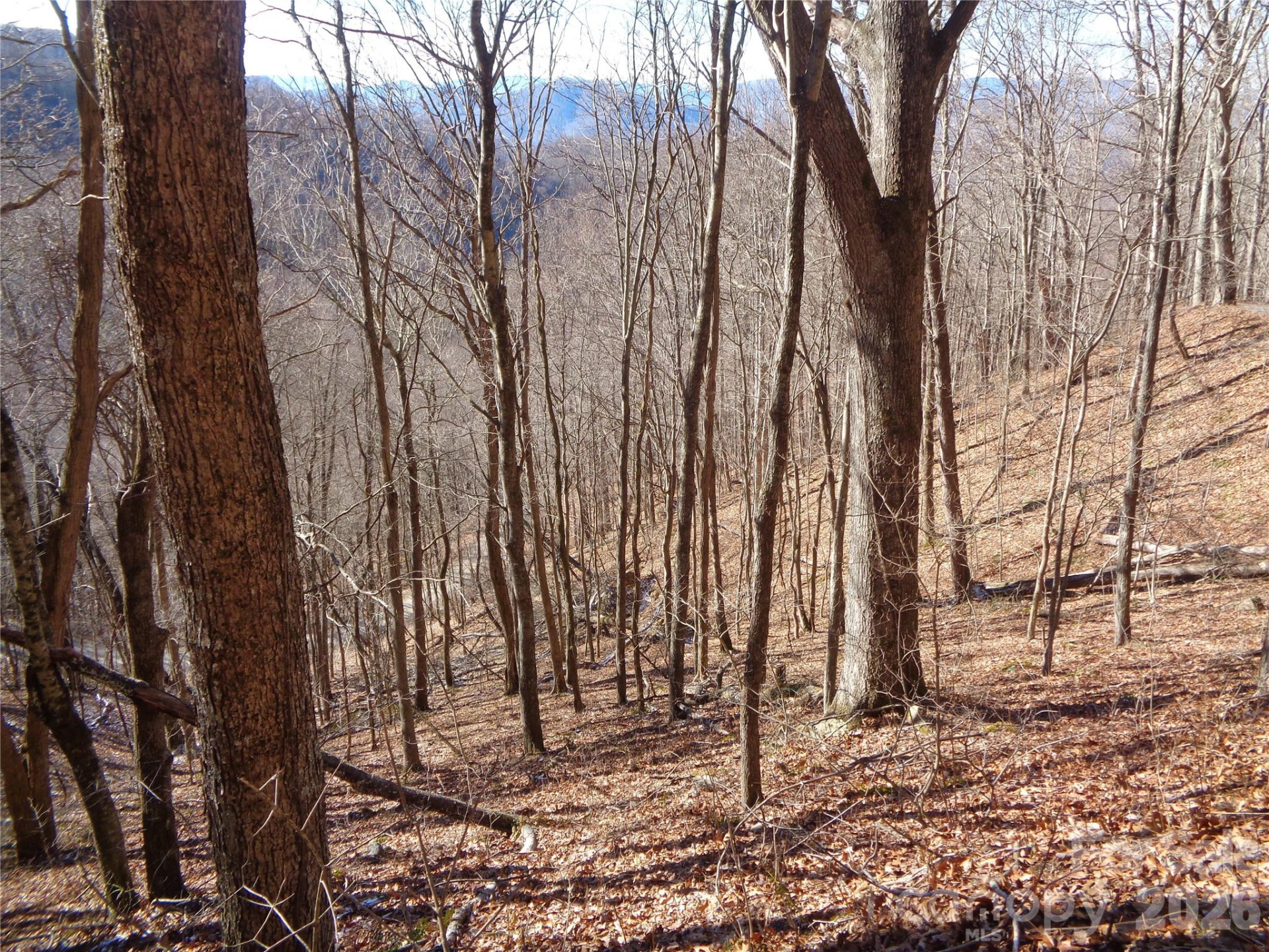 00 Listening Cove #41 - Photo 2