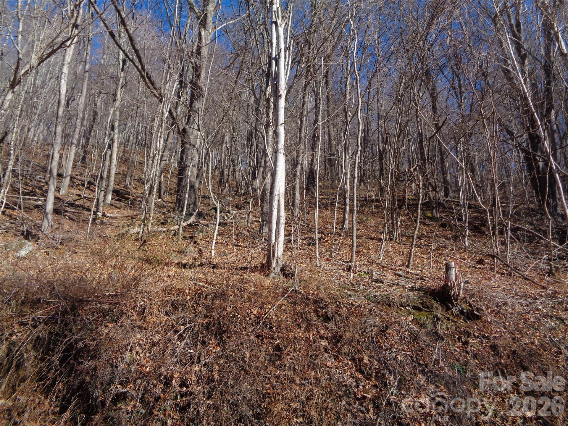 00 Listening Cove #41 - Photo 11